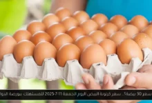 سعر كرتونة البيض اليوم