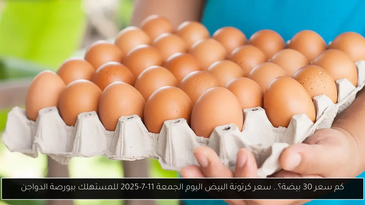 سعر كرتونة البيض اليوم
