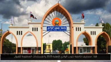 مصاريف جامعة جنوب الوادي الأهلية 2025