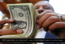 سعر الدولار في السوق السوداء تحديث يومي