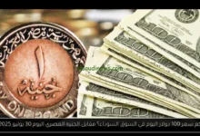 كم سعر 100 دولار اليوم في السوق السوداء؟