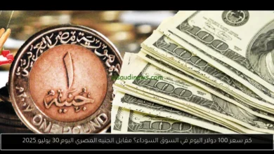 كم سعر 100 دولار اليوم في السوق السوداء؟