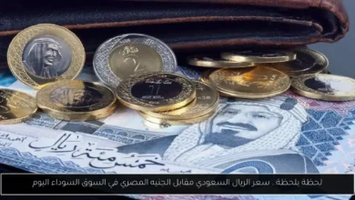 سعر الريال السعودي مقابل الجنيه المصري في السوق السوداء اليوم