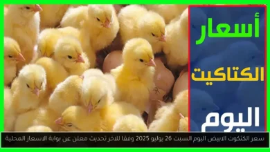 سعر الكتكوت الابيض اليوم