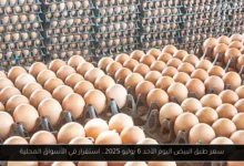 سعر طبق البيض اليوم