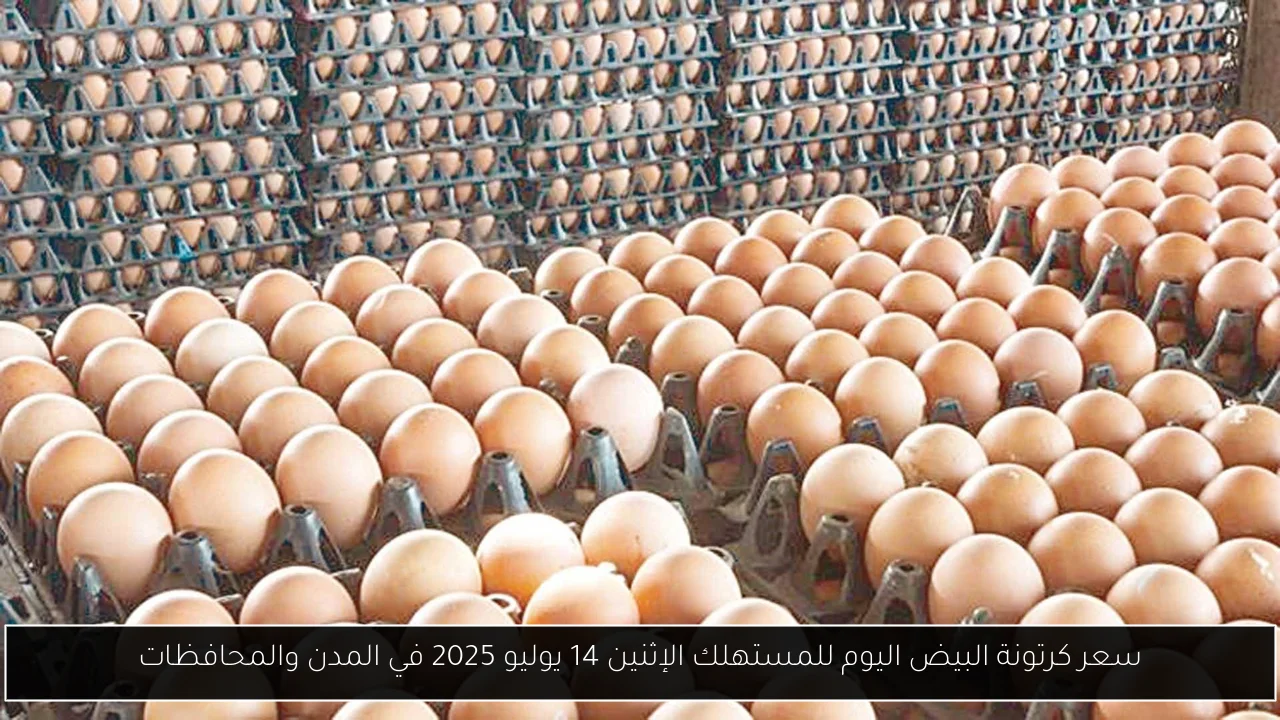 سعر كرتونة البيض اليوم للمستهلك