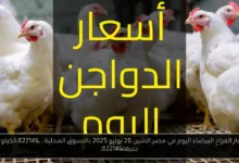 اسعار الفراخ البيضاء اليوم في مصر