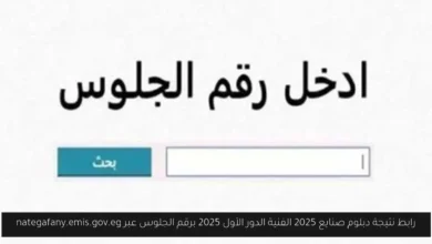 نتيجة دبلوم صنايع 2025