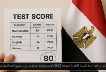 نتيجة الثانوية العامة 2025