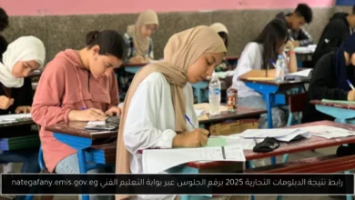 نتيجة الدبلومات التجارية 2025 برقم الجلوس