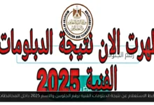 نتيجة الدبلومات الفنيه برقم الجلوس
