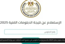 نتيجة دبلوم تجارة 2025