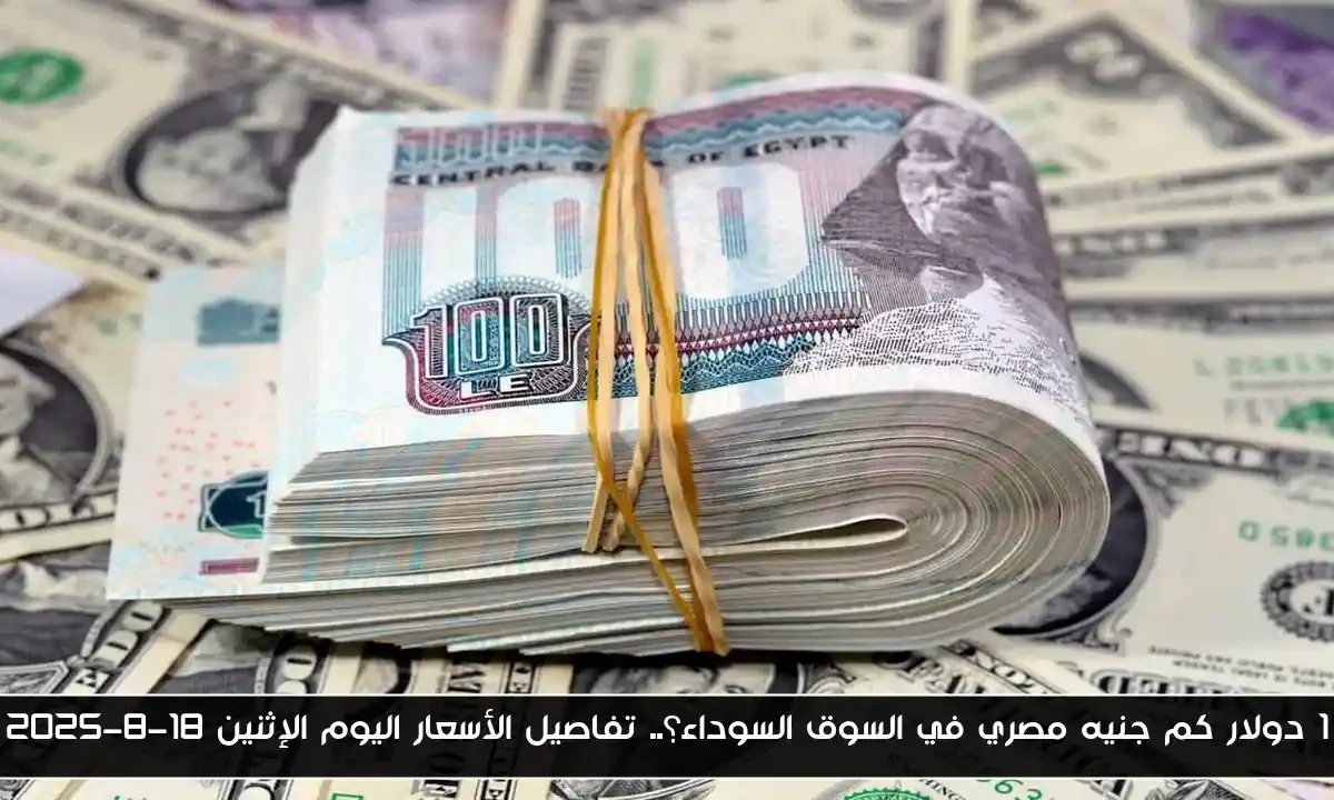 1 دولار كم جنيه مصري في السوق السوداء؟.. تفاصيل الأسعار اليوم الإثنين 18-8-2025