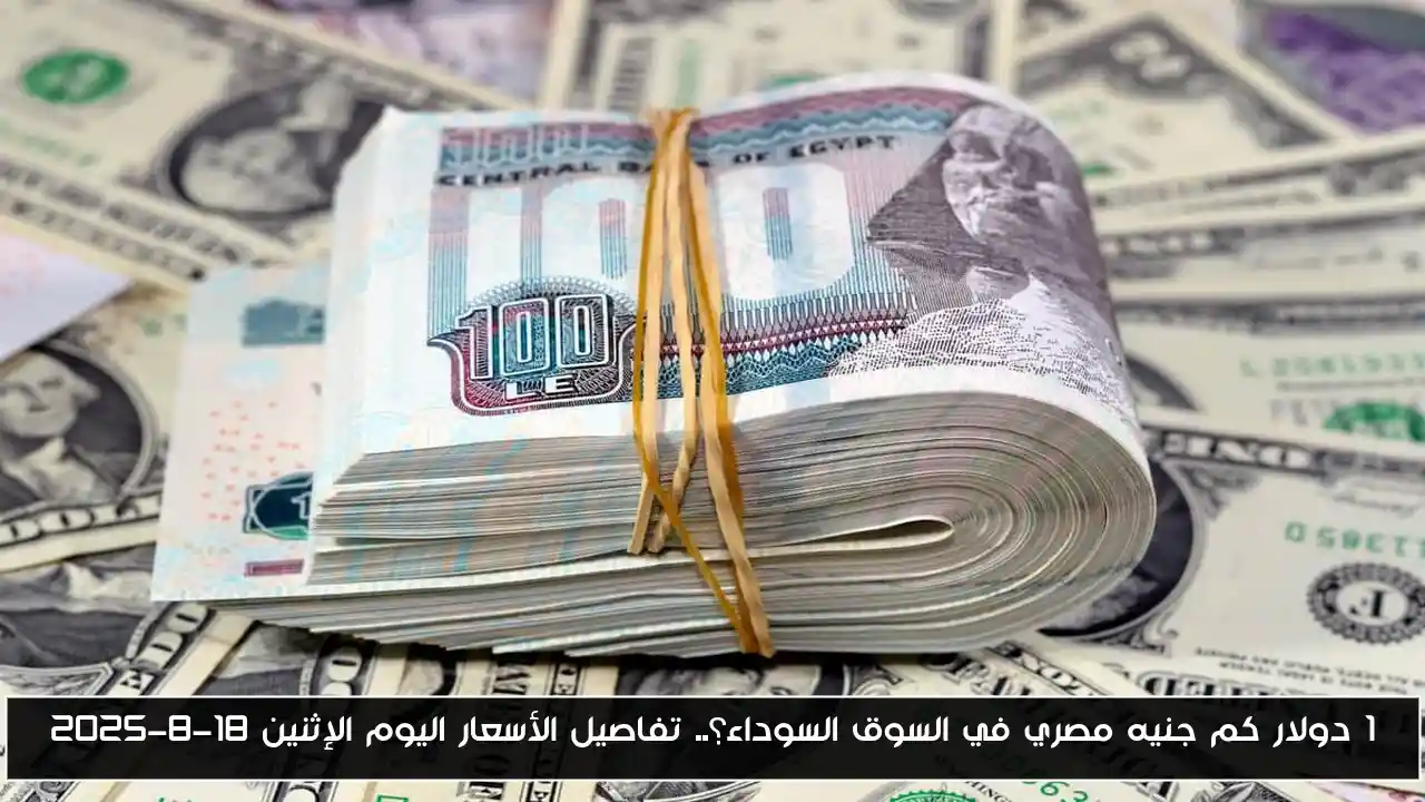 1 دولار كم جنيه مصري في السوق السوداء؟.. تفاصيل الأسعار اليوم الإثنين 18-8-2025