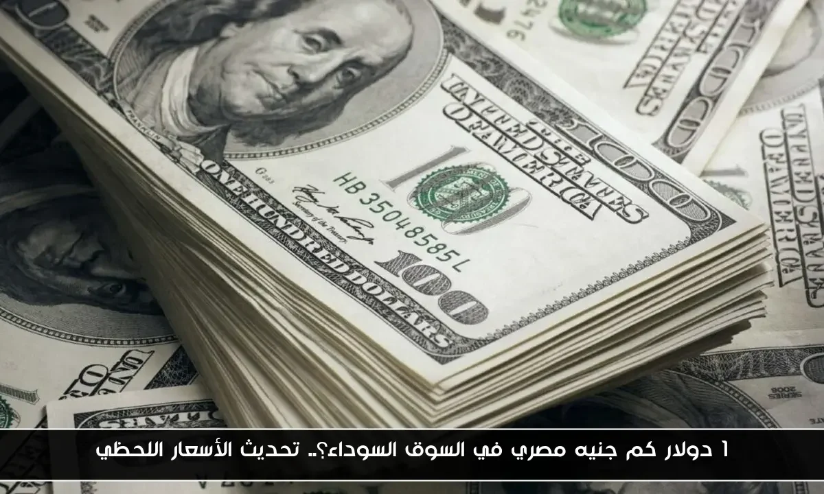 1 دولار كم جنيه مصري في السوق السوداء؟.. تحديث الأسعار اللحظي