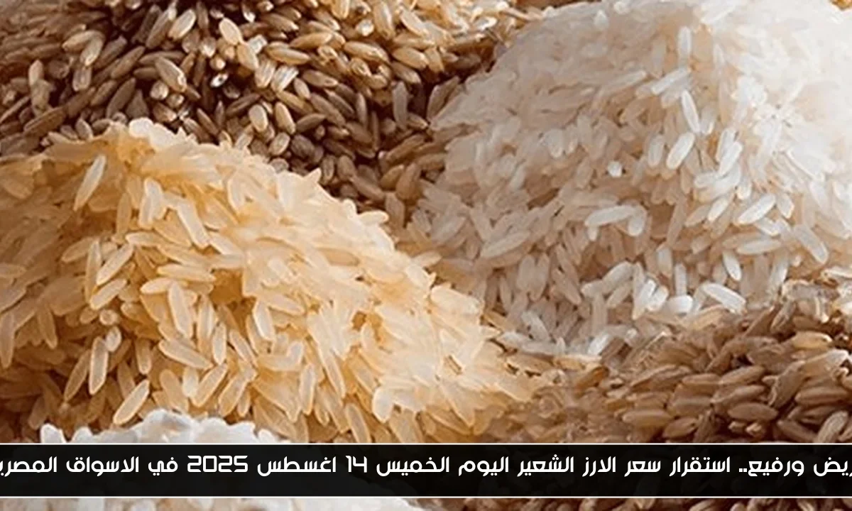 عريض ورفيع.. استقرار سعر الارز الشعير اليوم الخميس 14 اغسطس 2025 في الاسواق المصرية