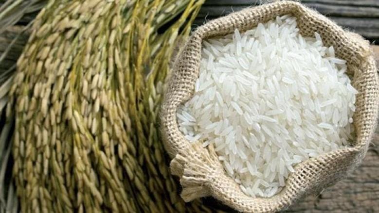 سعر الارز الشعير اليوم