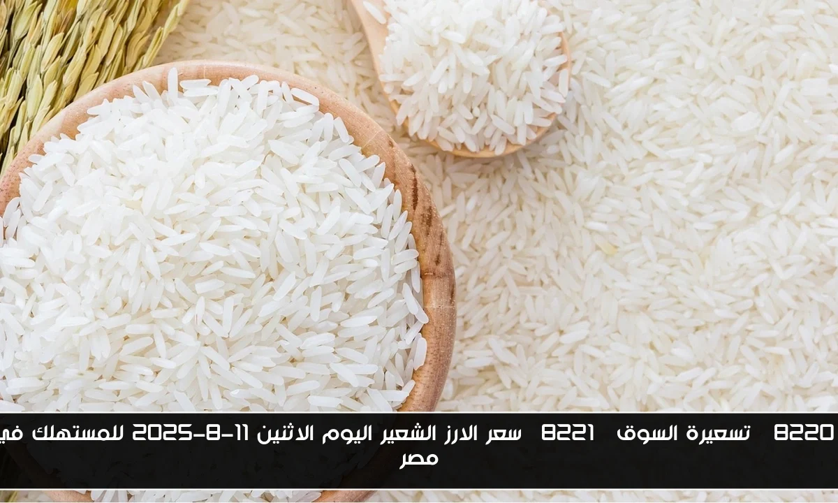 “تسعيرة السوق” سعر الارز الشعير اليوم الاثنين 11-8-2025 للمستهلك في مصر