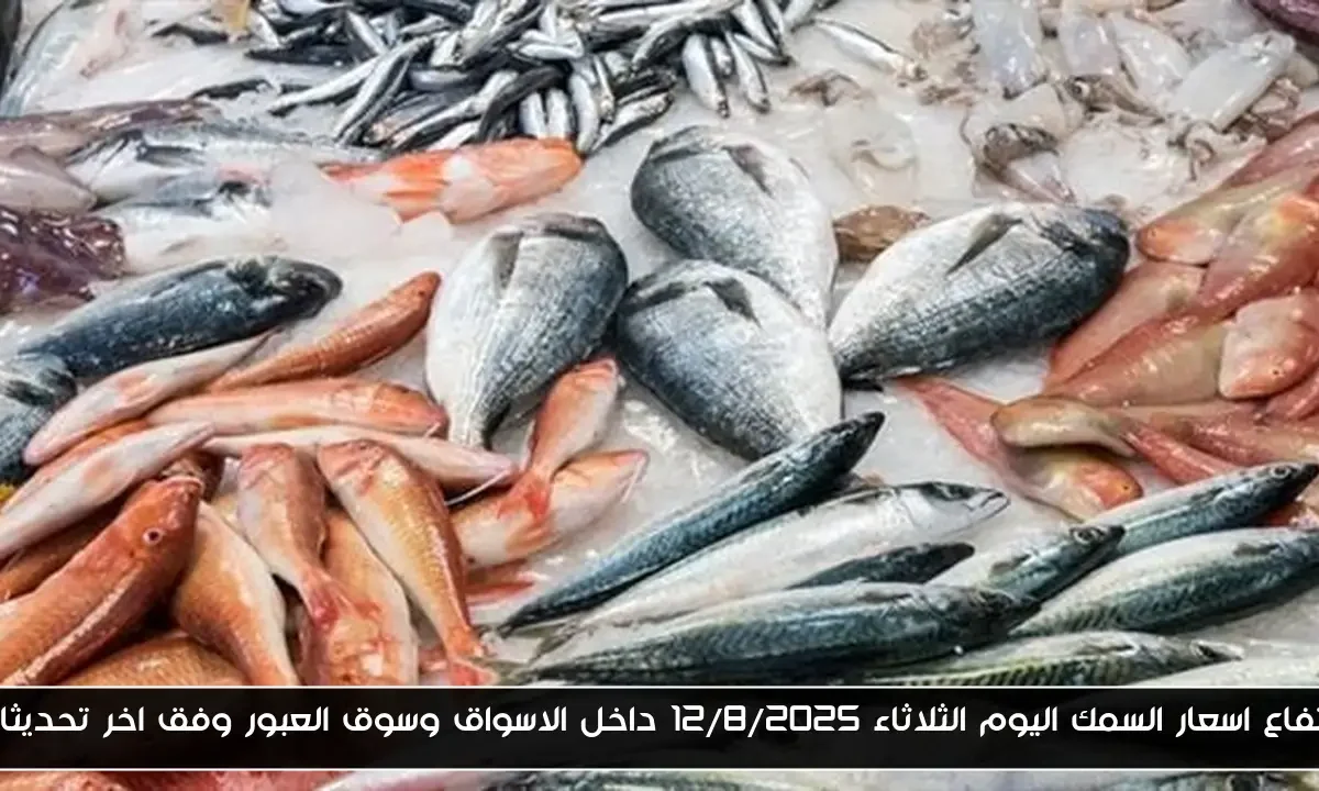ارتفاع اسعار السمك اليوم الثلاثاء 12/8/2025 داخل الاسواق وسوق العبور وفق اخر تحديثات