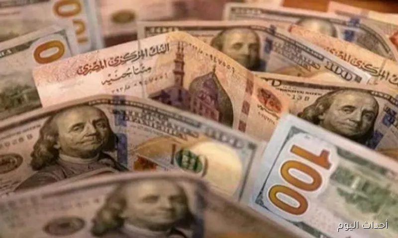أعلى سعر للدولار اليوم في السوق السوداء مقابل الجنيه المصري .. تحديث جديد للشراء و البيع