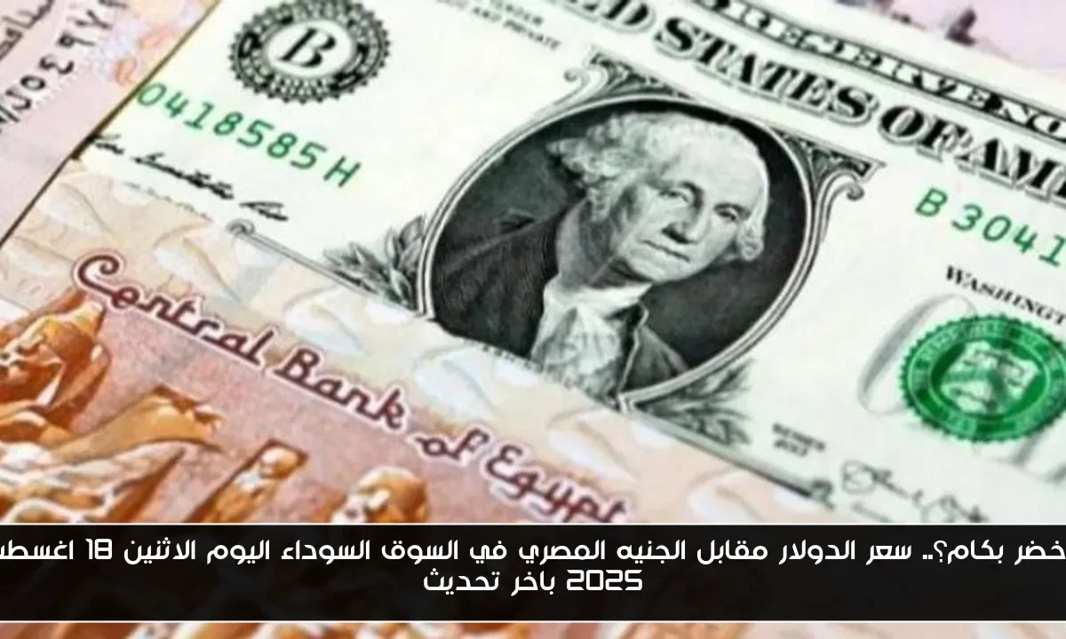 الاخضر بكام؟.. سعر الدولار مقابل الجنيه المصري في السوق السوداء اليوم الاثنين 18 اغسطس 2025 باخر تحديث