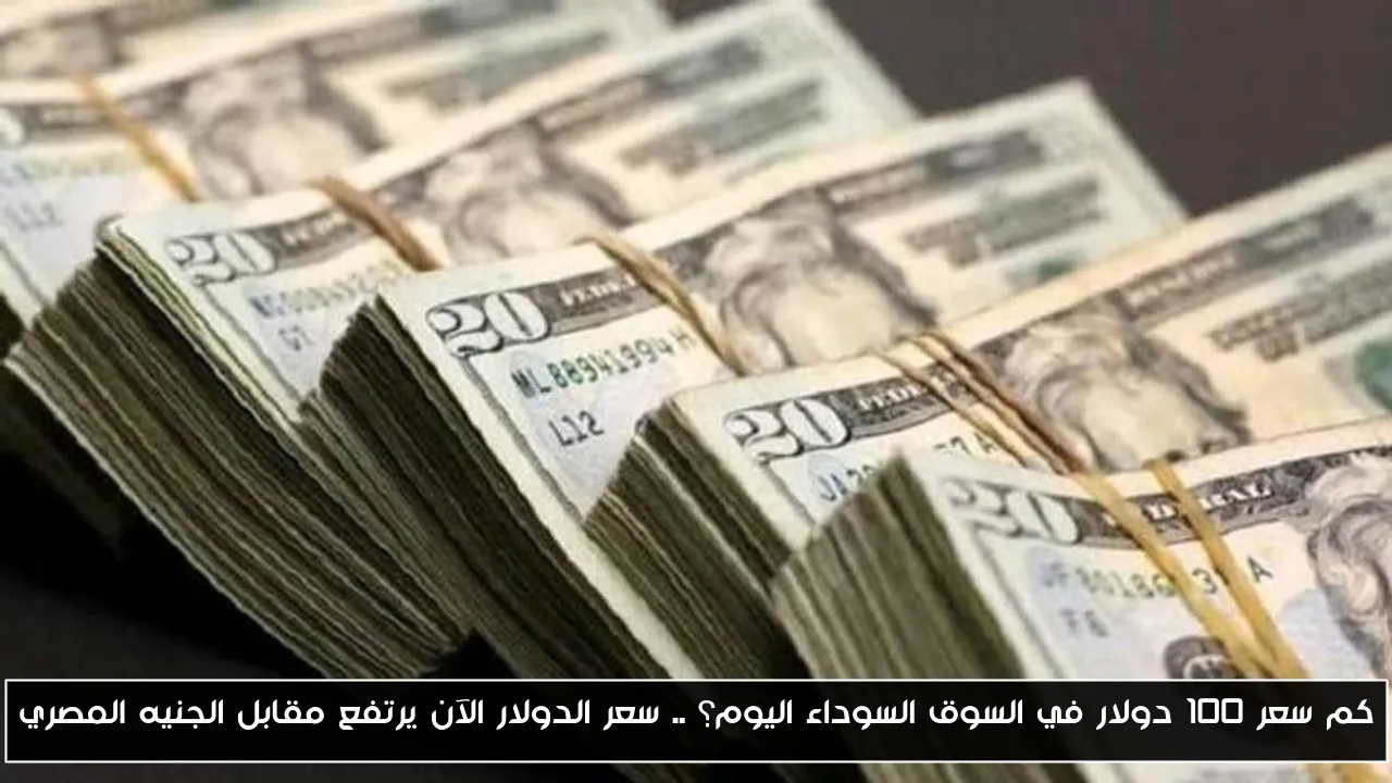 كم سعر 100 دولار في السوق السوداء اليوم؟ .. سعر الدولار الآن يرتفع مقابل الجنيه المصري