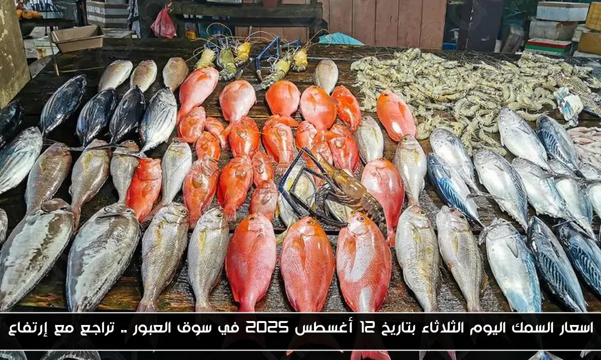 اسعار السمك اليوم الثلاثاء بتاريخ 12 أغسطس 2025 في سوق العبور .. تراجع مع إرتفاع