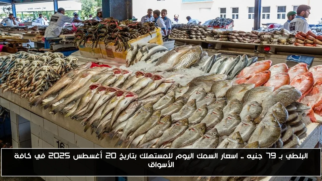 البلطي بـ 79 جنيه .. اسعار السمك اليوم للمستهلك بتاريخ 20 أغسطس 2025 في كافة الأسواق