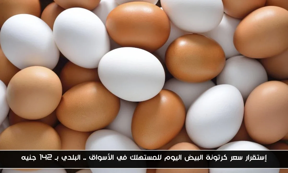إستقرار سعر كرتونة البيض اليوم للمستهلك في الأسواق .. البلدي بـ 142 جنيه
