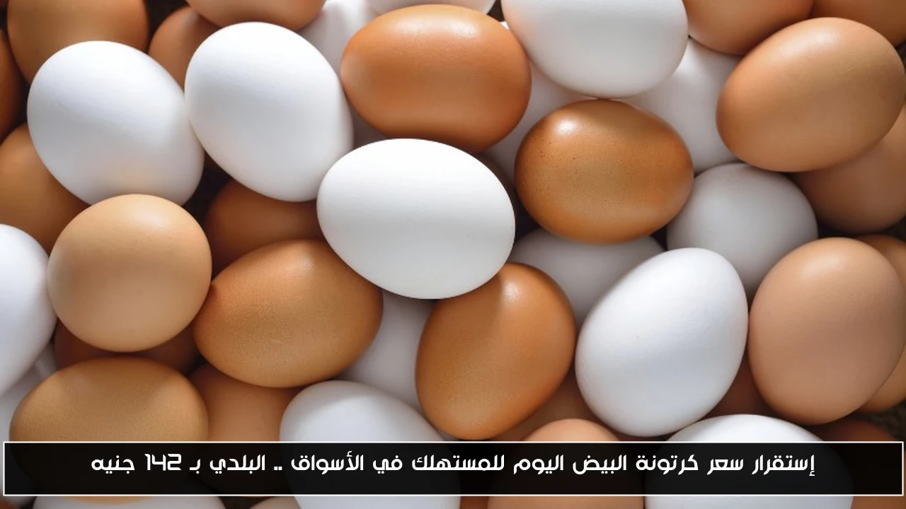 إستقرار سعر كرتونة البيض اليوم للمستهلك في الأسواق .. البلدي بـ 142 جنيه