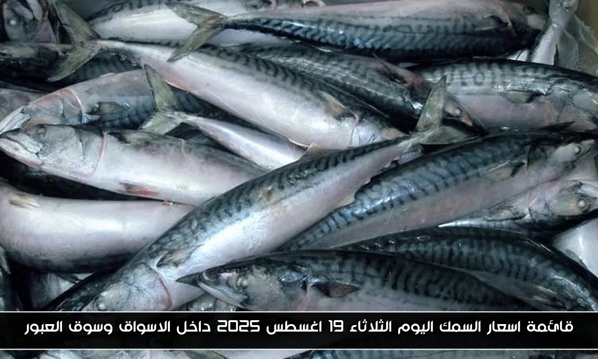 قائمة اسعار السمك اليوم الثلاثاء 19 اغسطس 2025 داخل الاسواق وسوق العبور