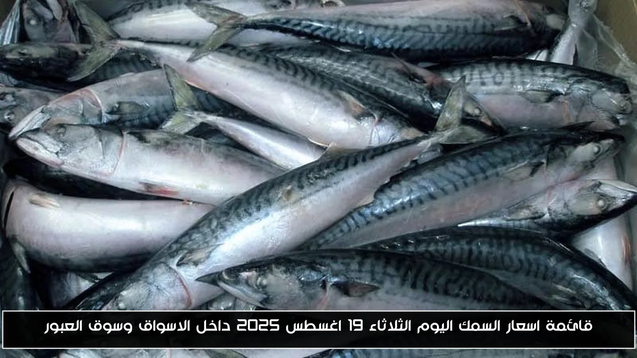 قائمة اسعار السمك اليوم الثلاثاء 19 اغسطس 2025 داخل الاسواق وسوق العبور