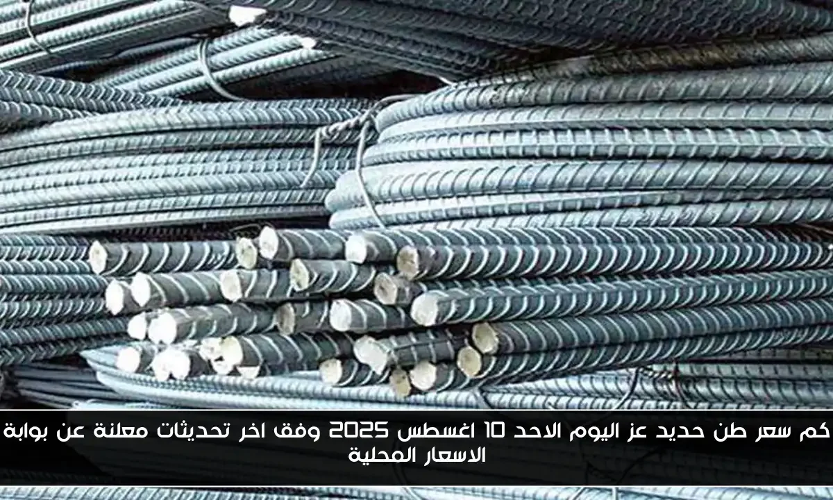 كم سعر طن حديد عز اليوم الاحد 10 اغسطس 2025 وفق اخر تحديثات معلنة عن بوابة الاسعار المحلية