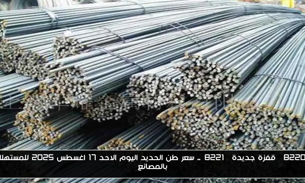 “قفزة جديدة”.. سعر طن الحديد اليوم الاحد 17 اغسطس 2025 للمستهلك بالمصانع