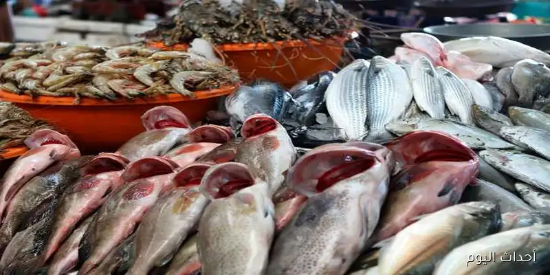 اسعار السمك اليوم الأربعاء 27 أغسطس 2025 في سوق العبور تُسجل تذبذب ملحوظ .. البلطي يصل لهذا السعر
