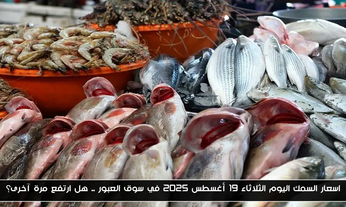 اسعار السمك اليوم الثلاثاء 19 أغسطس 2025 في سوق العبور .. هل ارتفع مرة آخرى؟