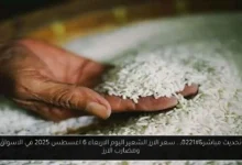 سعر الارز الشعير اليوم