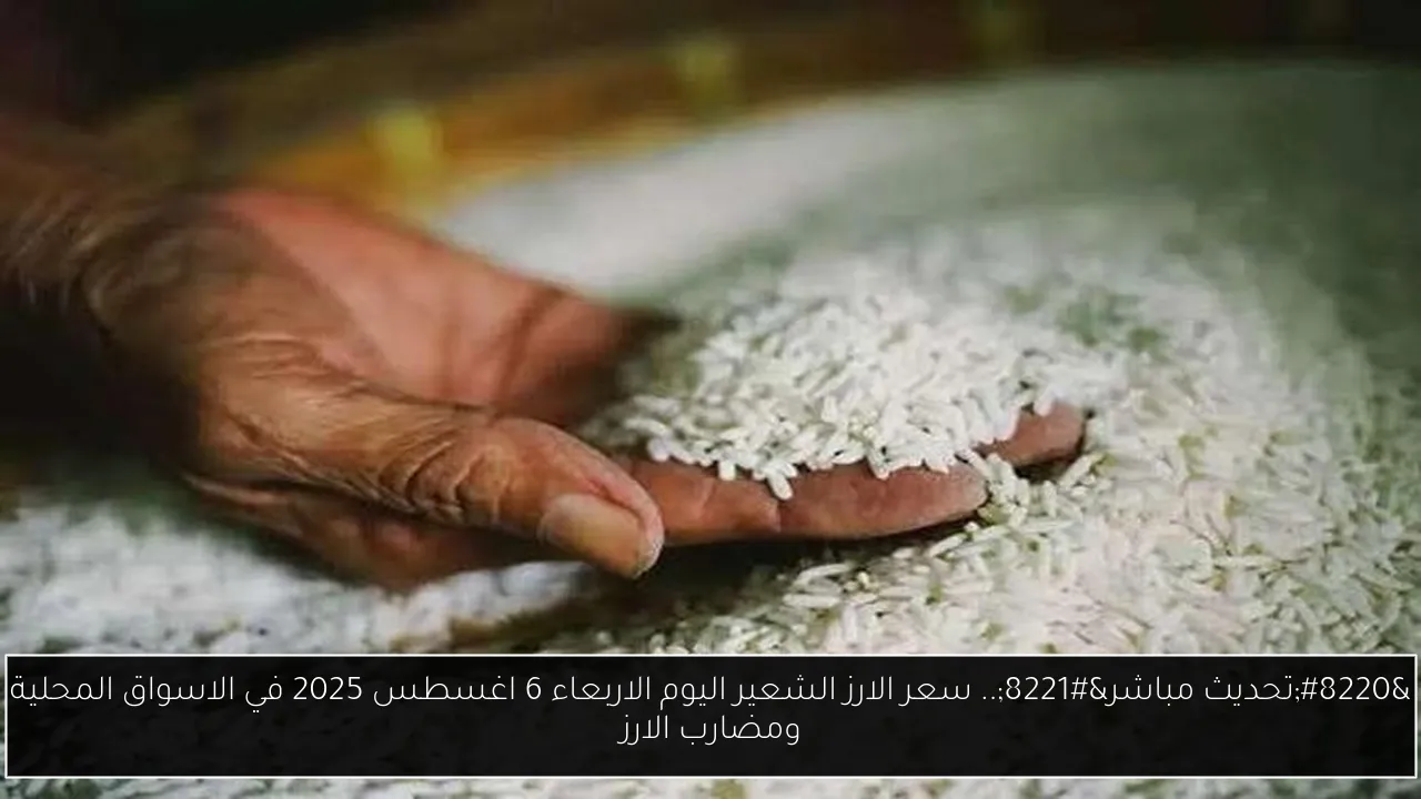سعر الارز الشعير اليوم