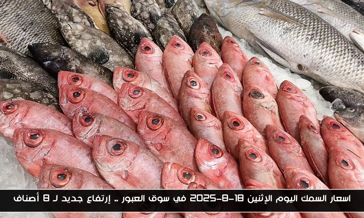 اسعار السمك اليوم الإثنين 18-8-2025 في سوق العبور .. إرتفاع جديد لـ 8 أصناف