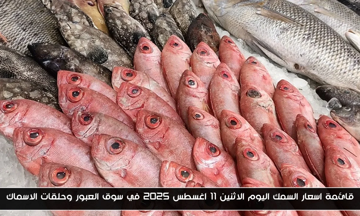 قائمة اسعار السمك اليوم الاثنين 11 اغسطس 2025 في سوق العبور وحلقات الاسماك