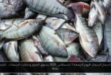 اسعار السمك اليوم