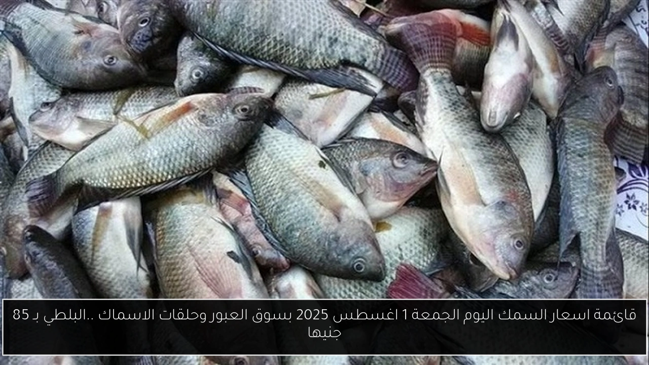 اسعار السمك اليوم