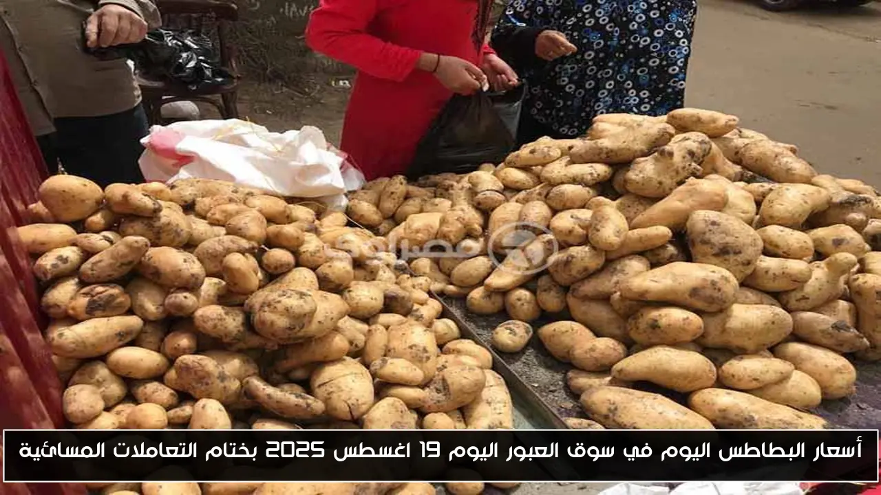 أسعار البطاطس اليوم في سوق العبور اليوم 19 اغسطس 2025 في ختام التعاملات المسائية