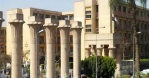 جامعة عين شمس الاهلية