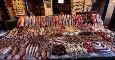 اسعار السمك اليوم