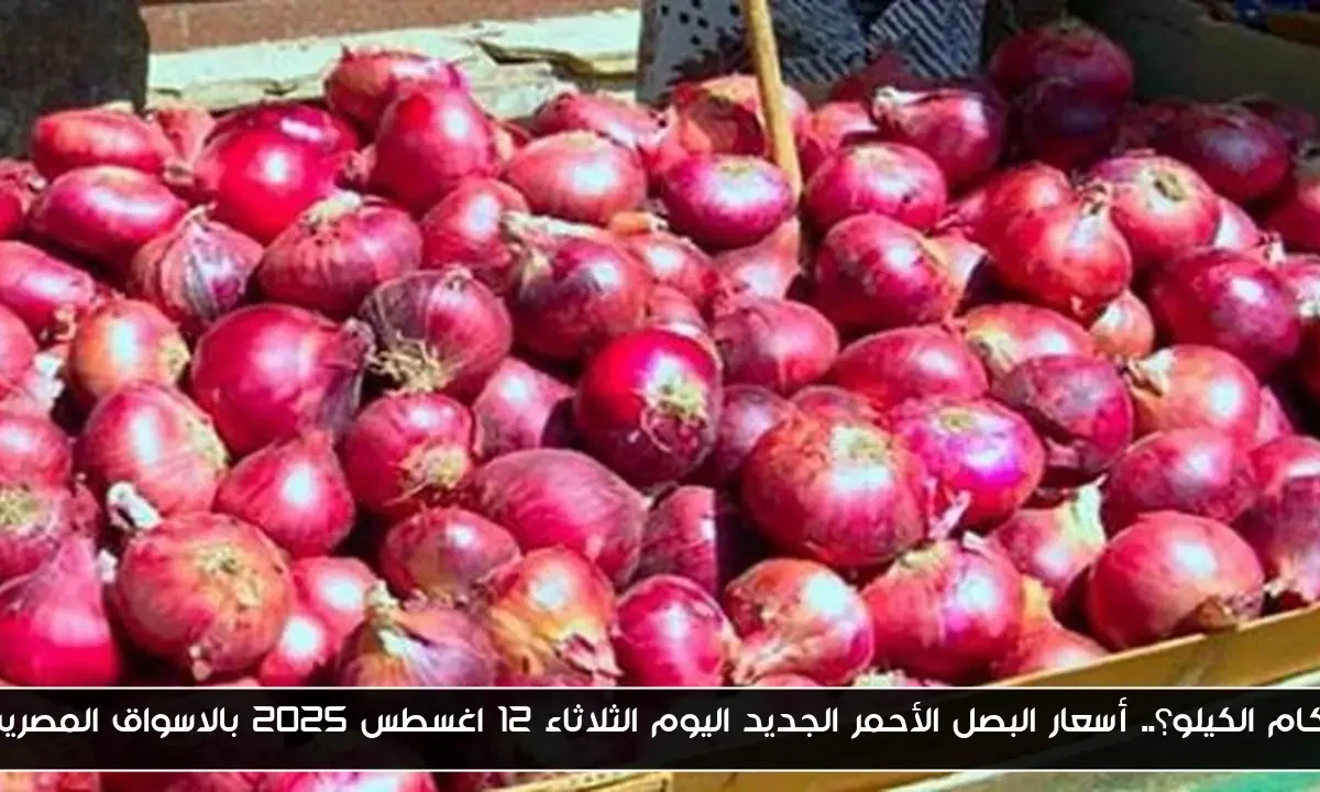 بكام الكيلو؟.. أسعار البصل الأحمر الجديد اليوم الثلاثاء 12 اغسطس 2025 بالاسواق المصرية