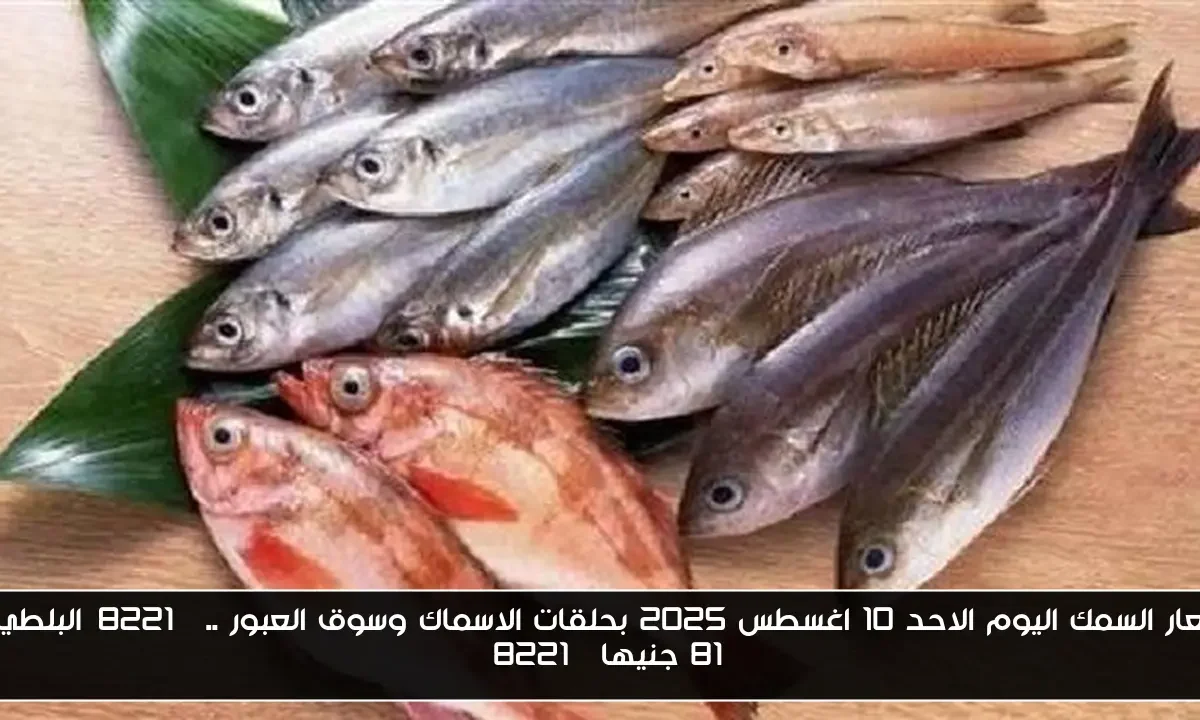 اسعار السمك اليوم الاحد 10 اغسطس 2025 بحلقات الاسماك وسوق العبور ..”البلطي بـ 81 جنيها”