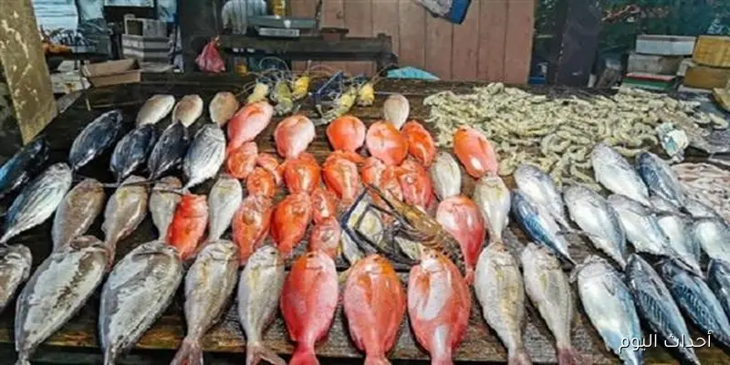 اسعار السمك اليوم في سوق العبور بتاريخ 29 أغسطس 2025 .. ارتفاع البلطي وتراجع المكرونة