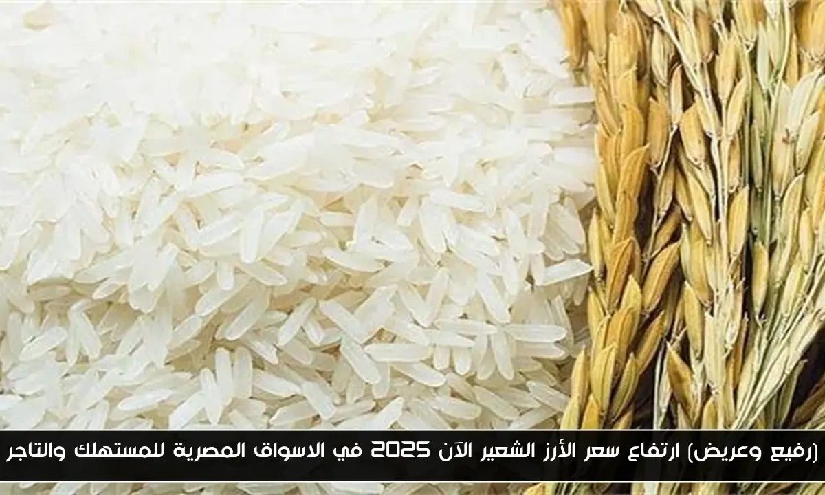 (رفيع وعريض) ارتفاع سعر الأرز الشعير الآن 2025 في الاسواق المصرية للمستهلك والتاجر
