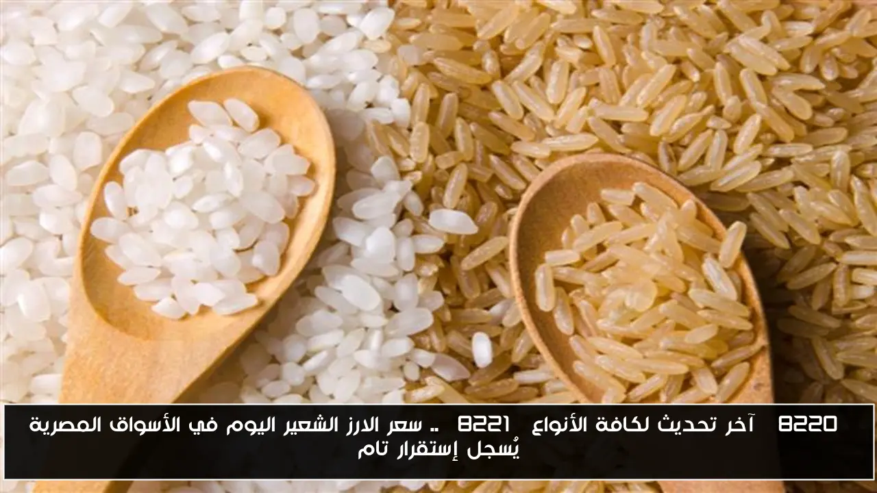 “آخر تحديث لكافة الأنواع” .. سعر الارز الشعير اليوم في الأسواق المصرية يُسجل إستقرار تام
